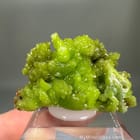 Pyromorphite