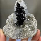 Cassiterite
