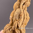 Aragonite