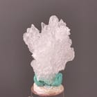 Creedite