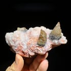 Gypsum