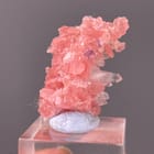 Rhodochrosite