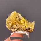 Wulfenite