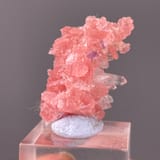 Mineral specimen collector review photo