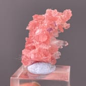 Customer photo of Rhodochrosite with Quartz and Purple Fluorite — Guangxi, China from Verified buyer's review