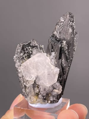 Black cassiterite crystals on white barite matrix, Yaogangxian Mine, Hunan
