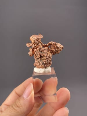 Golden pyrite crystal with druzy surface, Daye Mine, Huangshi, Hubei