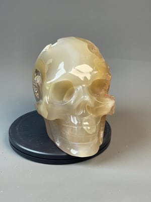 Hand-carved flower agate skull with floral moss pattern and crystal cavity
