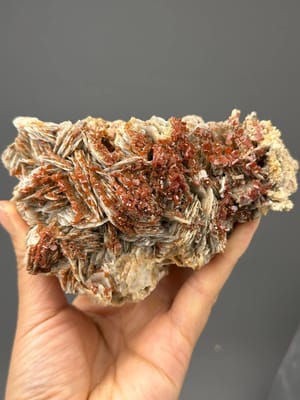 Deep red hexagonal vanadinite crystals on layered barite matrix, Morocco