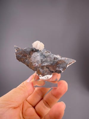 Gypsum flower formation on matrix from Guizhou, China