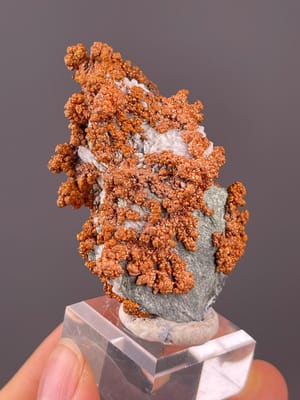 Native copper crystal cluster with branching dendrites from Jiangxi, China