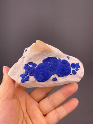 Vivid royal-blue azurite rosette formations from Australia