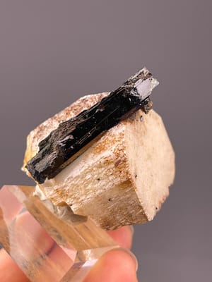 Black tourmaline crystals in pale feldspar matrix from Namibia