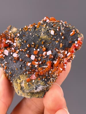 Vanadinite deep red crystals on black barite matrix, Morocco