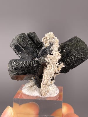 Black tourmaline schorl crystal on matrix from Namibia