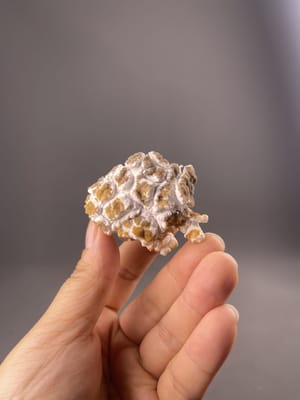 Popcorn gypsum specimen with nodular texture, Guizhou, China