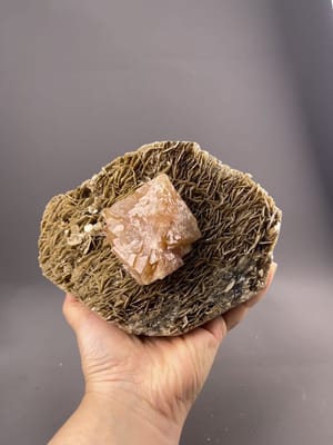 Scheelite Crystal - Cubic Form - Lustrous Appeal - Xuebaoding Mt., Sichuan, China - Collectible Mineral