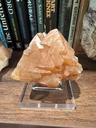 Customer photo from Roger S.'s review