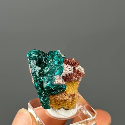 Dioptase crystals on matrix Congo front view