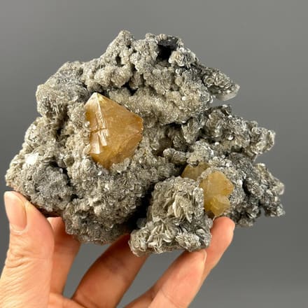Scheelite crystal on mica matrix Sichuan China front view
