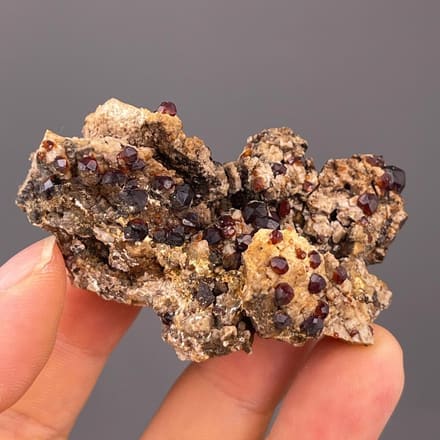 Front view of deep-red almandine garnet cluster on schist matrix