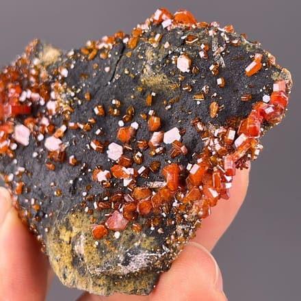 Vanadinite deep red crystals on black barite matrix, Morocco