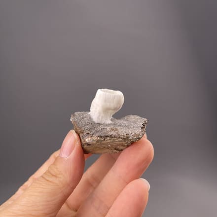 White aragonite with goblet form and ribbed texture from Yunnan Province, China