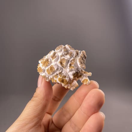 Popcorn gypsum specimen with nodular texture, Guizhou, China