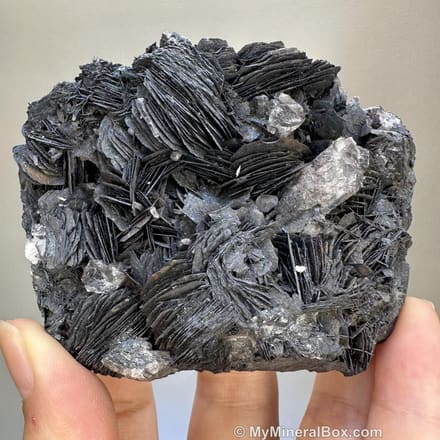 Quartz with Specular Hematite | Natural Specularite on Quartz | Inner Mongolia China | Mineral Specimen