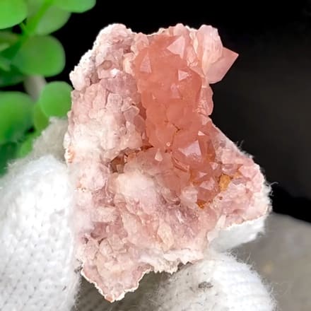 Pale pink quartz pocket with tiny rose-tinted crystals from Argentina, held in gloved hand