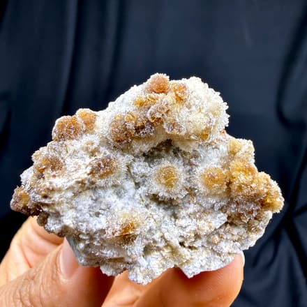 Chrysanthemum creedite sprays, from Guizhou, China, front view in daylight, held in hand