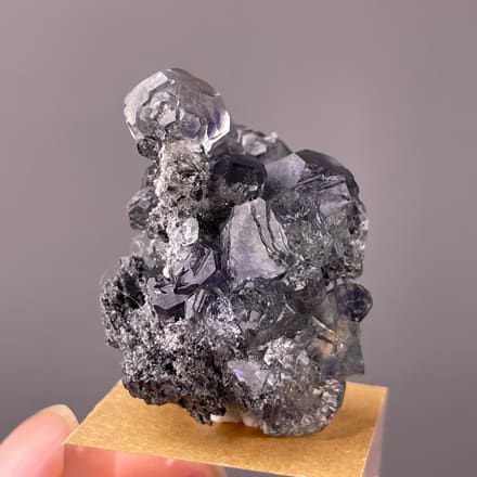 Tanzanite-blue Fluorite specimen from Yongchun, Fujian, China featuring lilac stepped fluorite on black matrix
