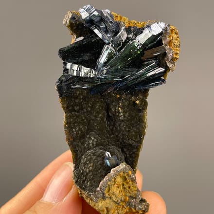 Vivianite from Brazil: dark green crystal spray on curved brown matrix.