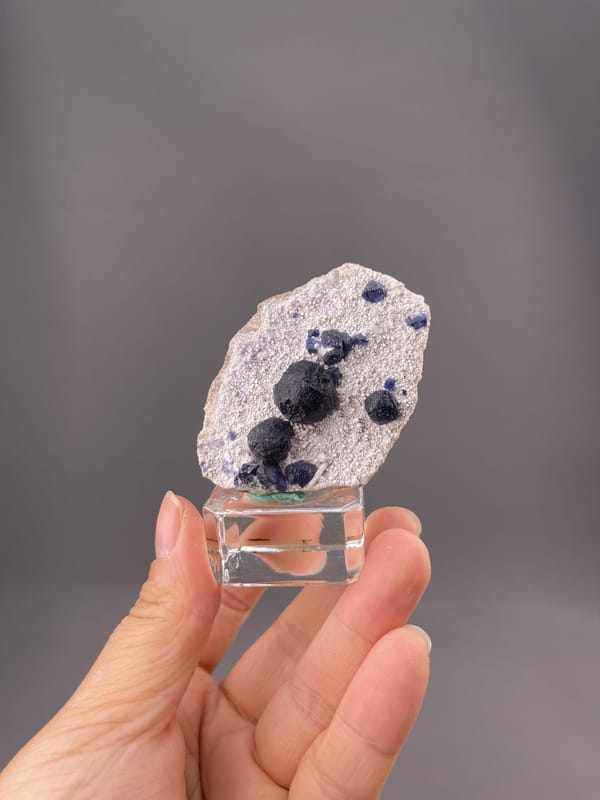Deep blue fluorite crystals on white quartz matrix, Inner Mongolia, China
