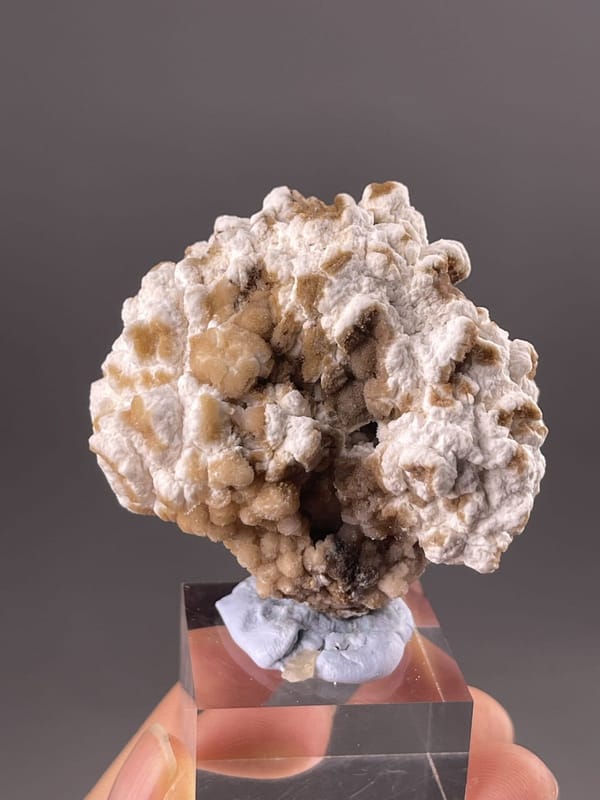 Gypsum Specimen from Guizhou, China – scale reference view