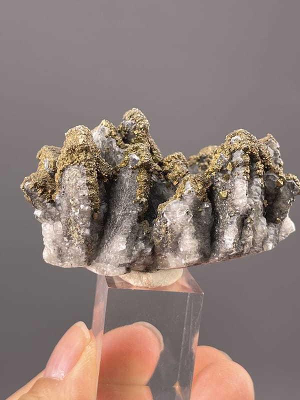 Side view of pyrite showing druzy habit on crystal form
