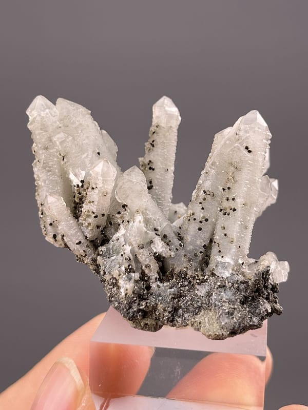 Front view of screw quartz crystal, 20×14×14 mm, Inner Mongolia