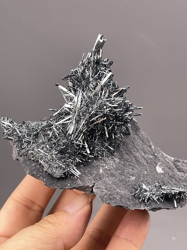 Stibnite Crystals from Lengshuijiang, China – lustre and transparency detail