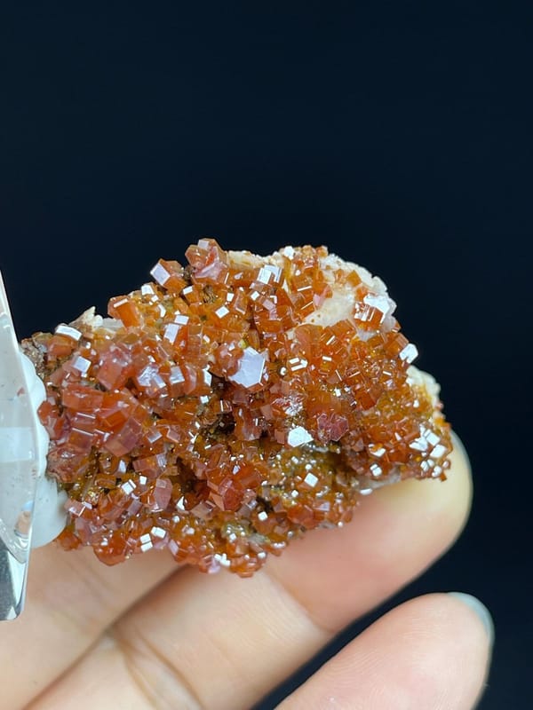 Moroccan wulfenite mineral specimen full view
