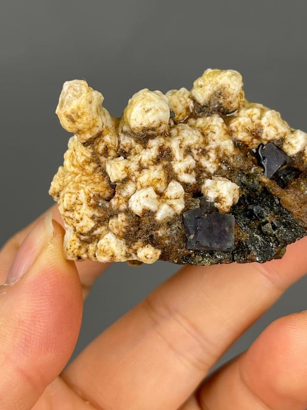 Close-up of purple fluorite cubes on botryoidal dolomite