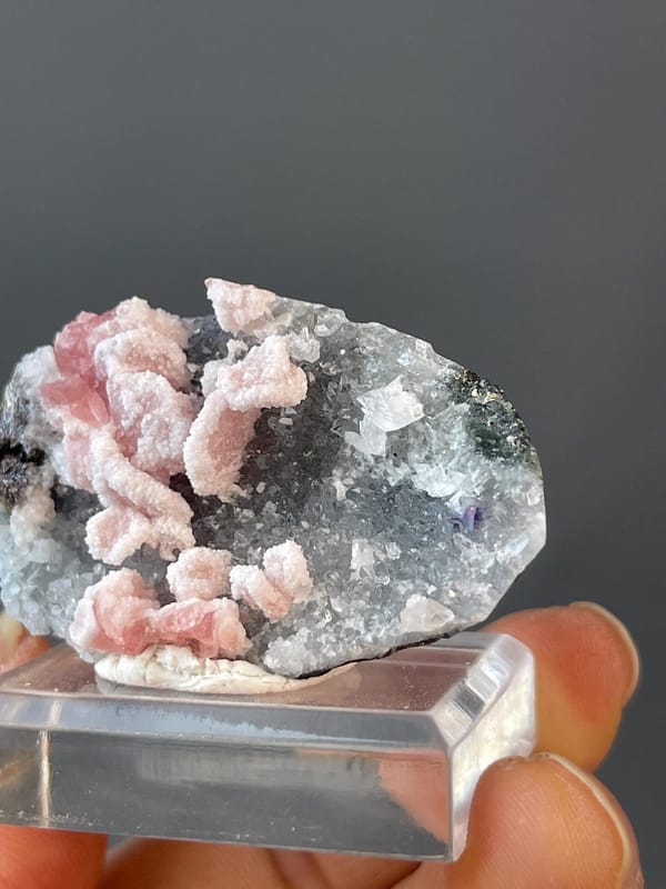 Delicate petal shape of rhodochrosite specimen