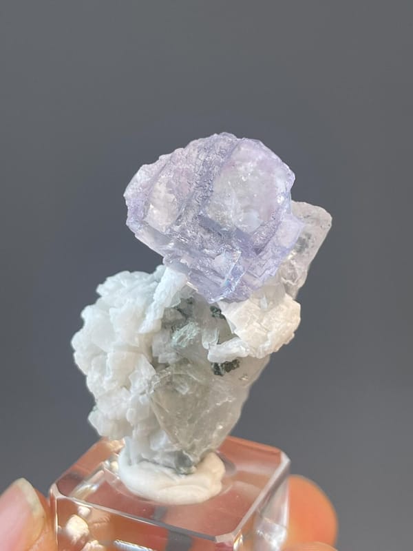Blue fluorite forming rose shape with associated quartz crystals