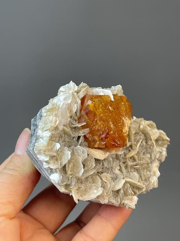 Back view of scheelite with mica matrix