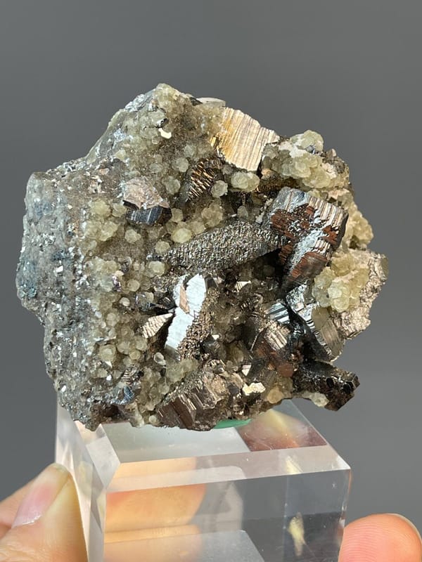 Brassy iridescent chalcopyrite with cubic pyrite crystals