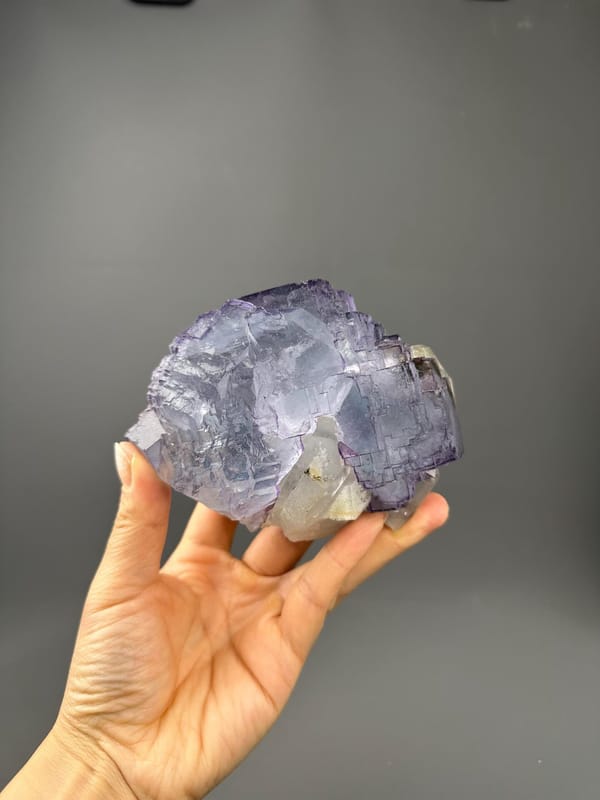 Side view of museum fluorite twin Yaogangxian
