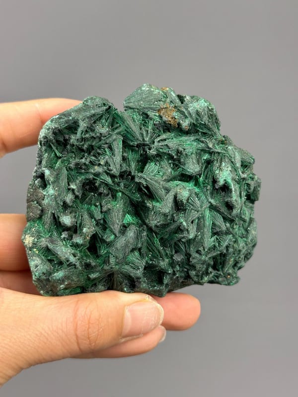 Side view of malachite needle cluster specimen