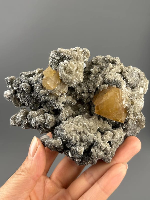 Scheelite Sichuan scale reference large specimen