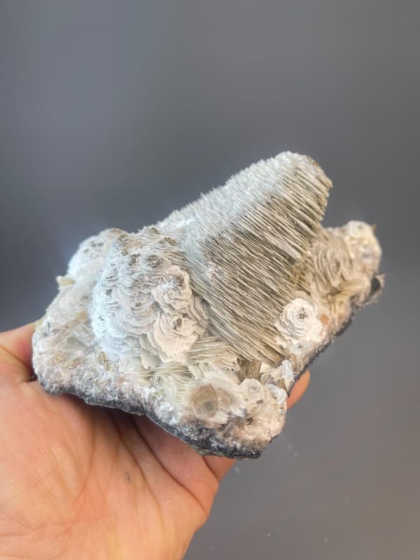 Zhejiang calcite with unusual petal crystal morphology