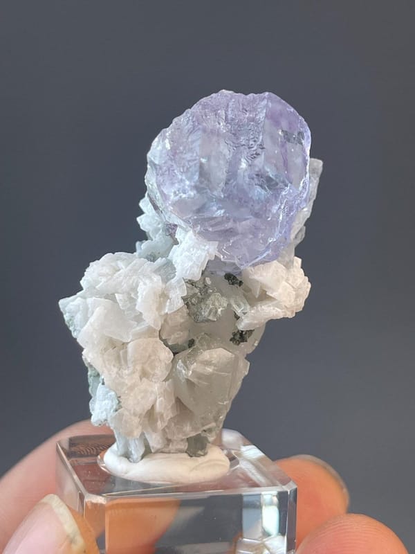 Fluorite forming rose habit with quartz, Yaogangxian origin
