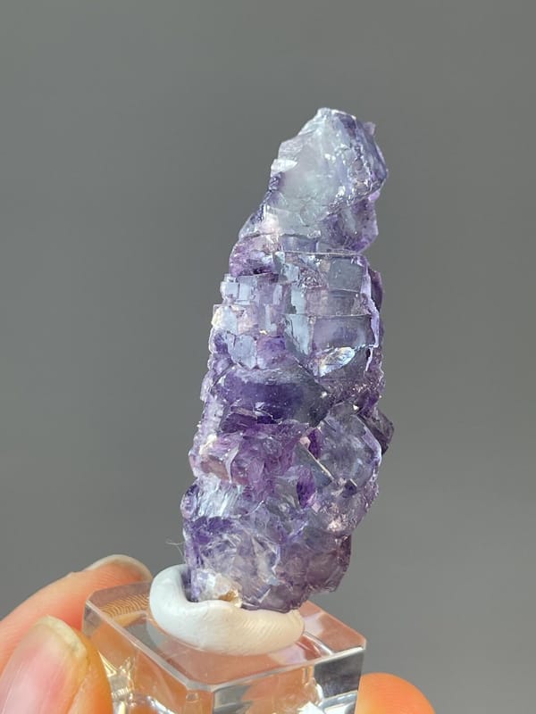 Fluorite with unusual arborescent tree-like twinned crystal form